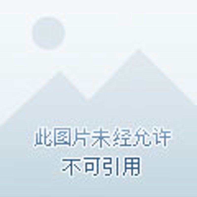 闽南糕点：传统与创新的完美交融